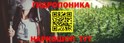 прущие крисы Донской
