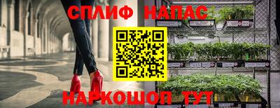 не бодяженный Дубна