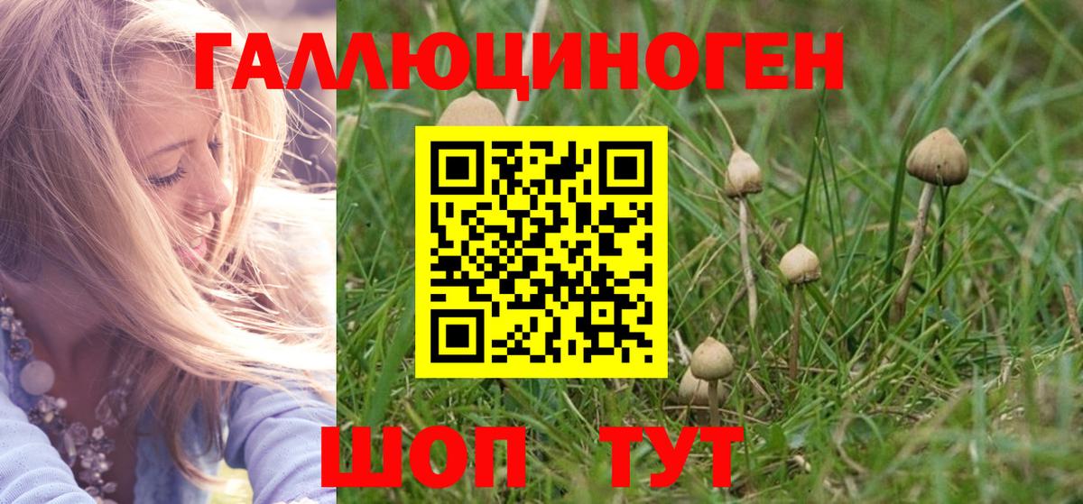 Самара  Галлюциногенные грибы GOLDEN TEACHER  купить закладку  Вход с VPN  Псилоцибиновые грибы мицелий 