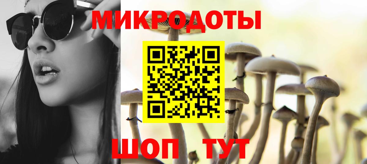 Галлюциногенные грибы Magic Shrooms Самара